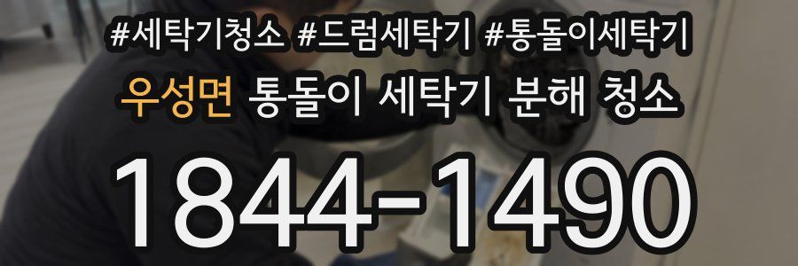 우성면 통돌이 세탁기 분해 청소