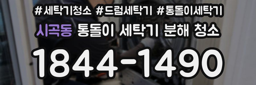 시곡동 통돌이 세탁기 분해 청소