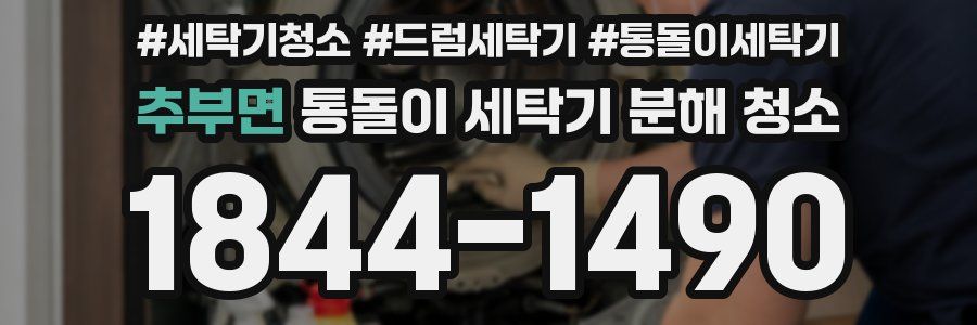 추부면 통돌이 세탁기 분해 청소