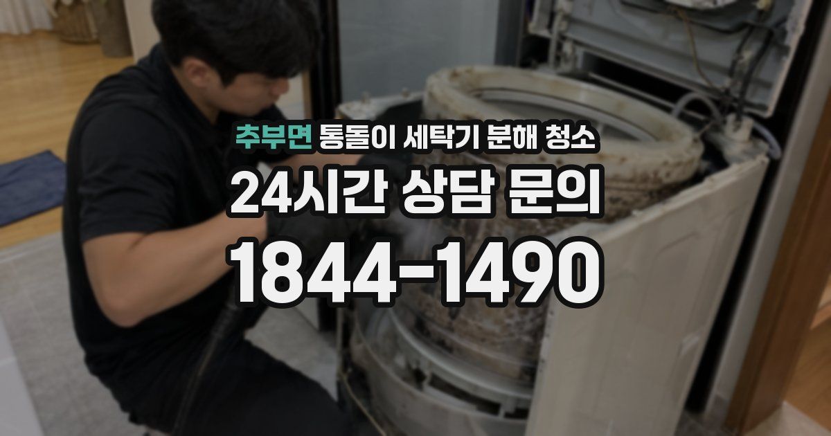 추부면 통돌이 세탁기 분해 청소