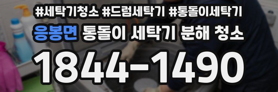 응봉면 통돌이 세탁기 분해 청소