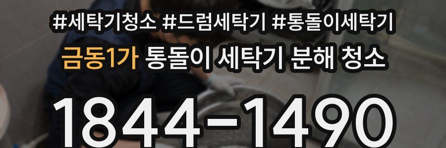 금동1가 통돌이 세탁기 분해 청소