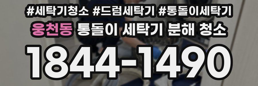 웅천동 통돌이 세탁기 분해 청소