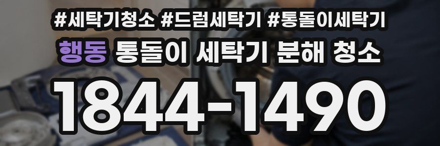 행동 통돌이 세탁기 분해 청소