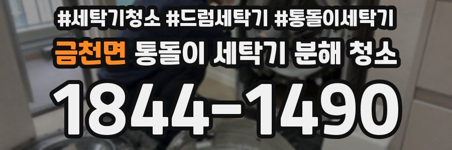 금천면 통돌이 세탁기 분해 청소