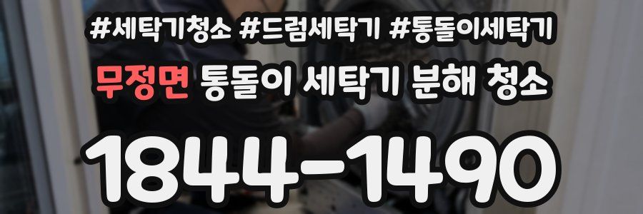 무정면 통돌이 세탁기 분해 청소