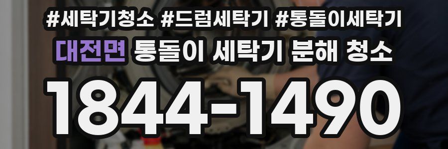 대전면 통돌이 세탁기 분해 청소