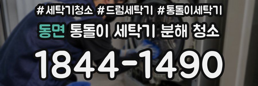 동면 통돌이 세탁기 분해 청소