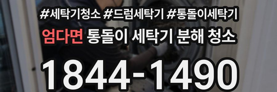 엄다면 통돌이 세탁기 분해 청소