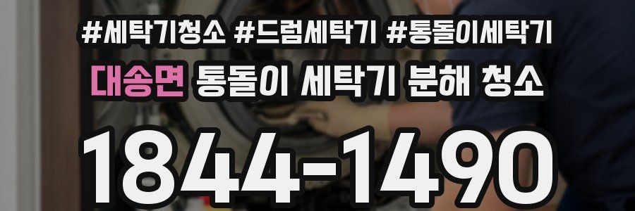 대송면 통돌이 세탁기 분해 청소
