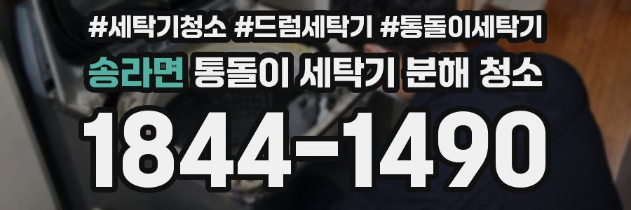 송라면 통돌이 세탁기 분해 청소