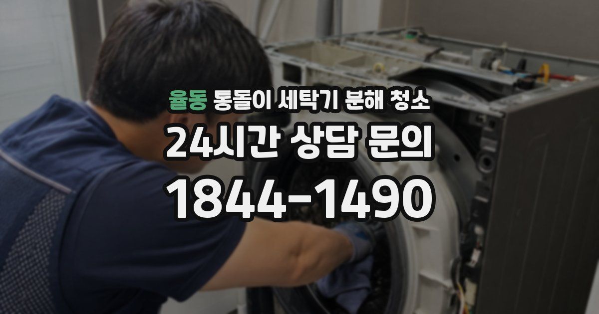 율동 통돌이 세탁기 분해 청소