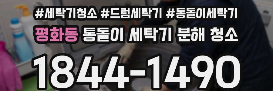 평화동 통돌이 세탁기 분해 청소