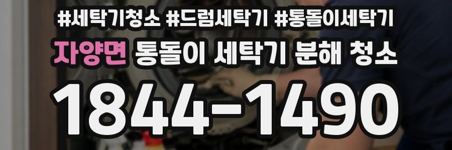 자양면 통돌이 세탁기 분해 청소
