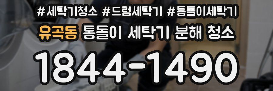 유곡동 통돌이 세탁기 분해 청소