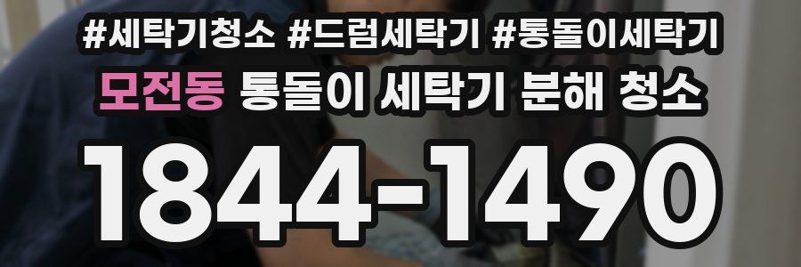 모전동 통돌이 세탁기 분해 청소