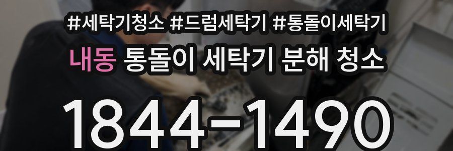내동 통돌이 세탁기 분해 청소