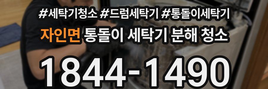 자인면 통돌이 세탁기 분해 청소