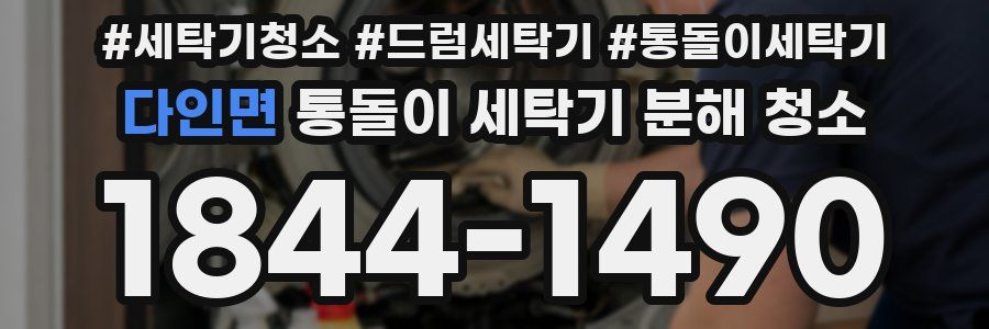 다인면 통돌이 세탁기 분해 청소