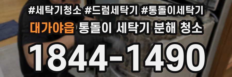 대가야읍 통돌이 세탁기 분해 청소