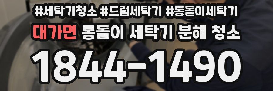 대가면 통돌이 세탁기 분해 청소