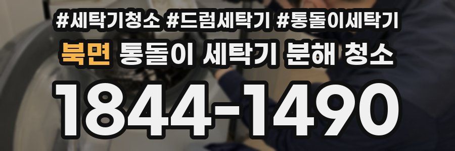 북면 통돌이 세탁기 분해 청소