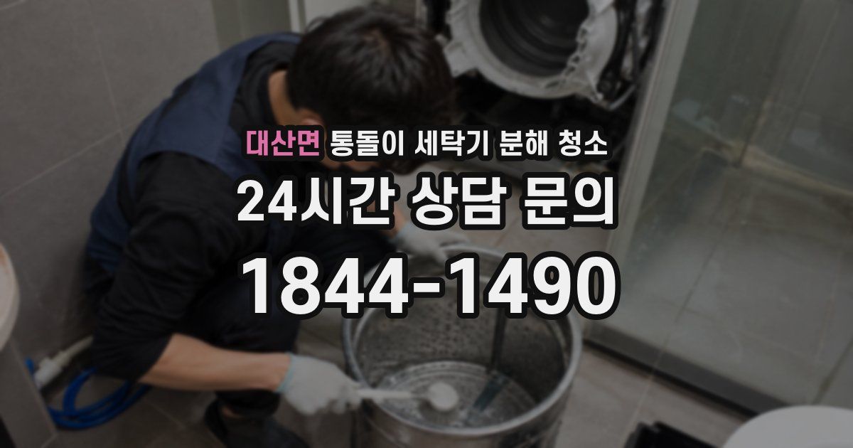 대산면 통돌이 세탁기 분해 청소