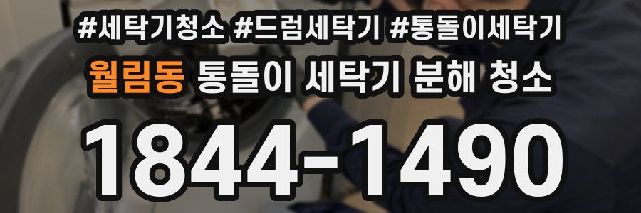월림동 통돌이 세탁기 분해 청소