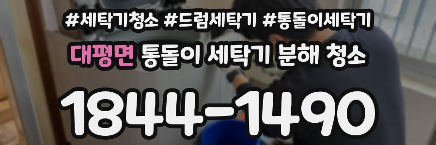 대평면 통돌이 세탁기 분해 청소