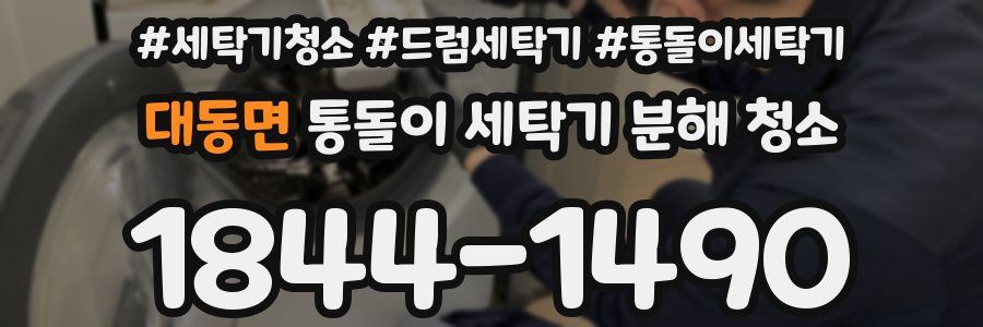 대동면 통돌이 세탁기 분해 청소