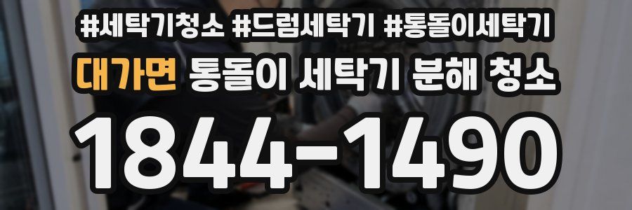 대가면 통돌이 세탁기 분해 청소