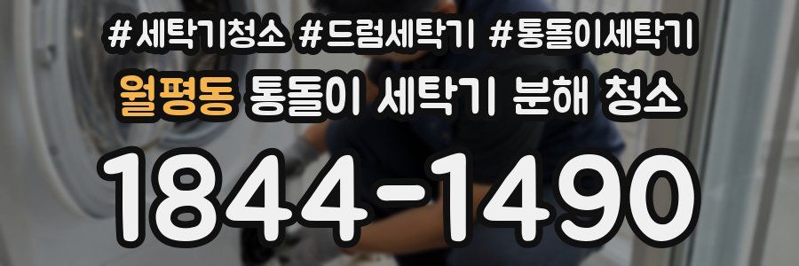 월평동 통돌이 세탁기 분해 청소