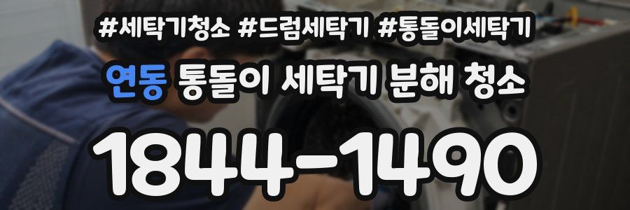 연동 통돌이 세탁기 분해 청소