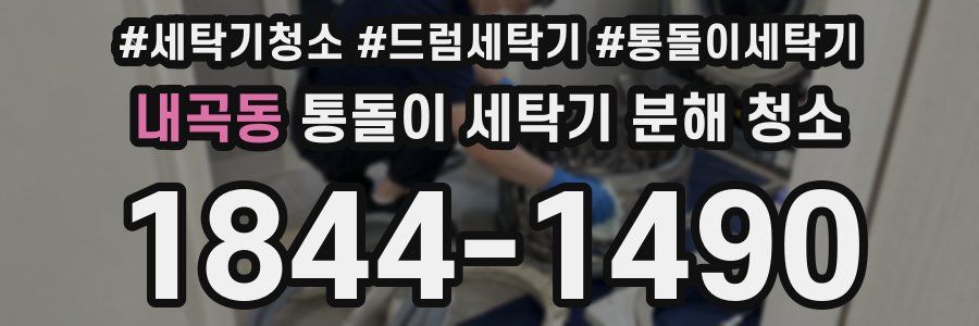 내곡동 통돌이 세탁기 분해 청소