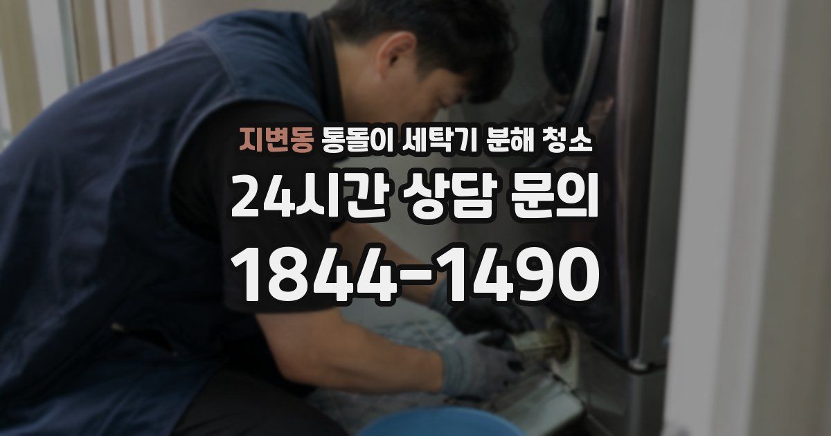 지변동 통돌이 세탁기 분해 청소