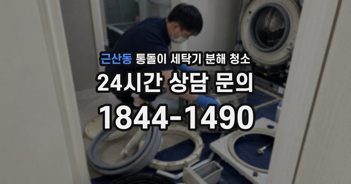근산동 통돌이 세탁기 분해 청소