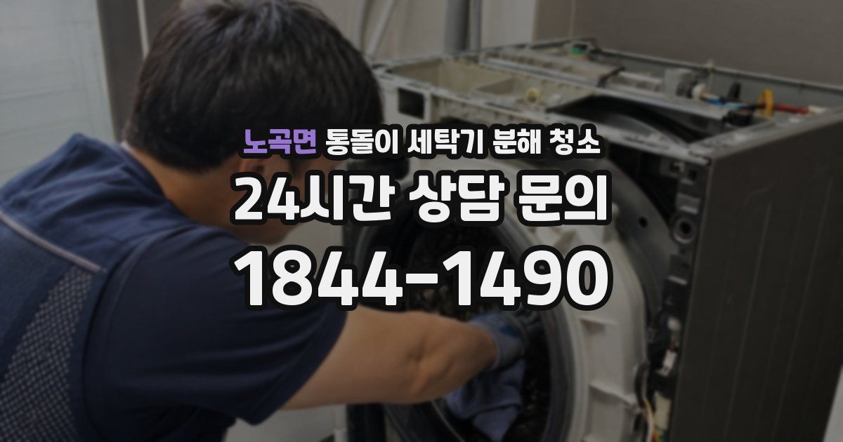 노곡면 통돌이 세탁기 분해 청소