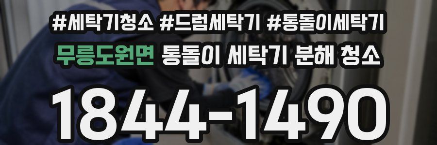 무릉도원면 통돌이 세탁기 분해 청소