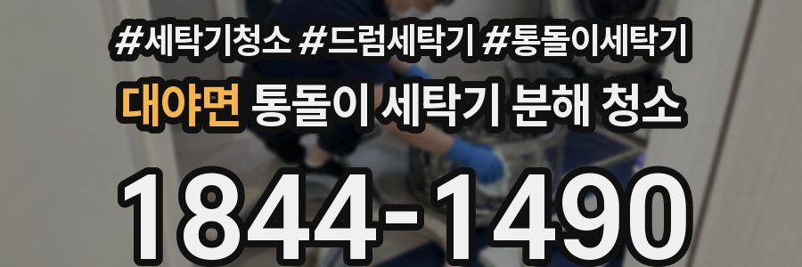 대야면 통돌이 세탁기 분해 청소