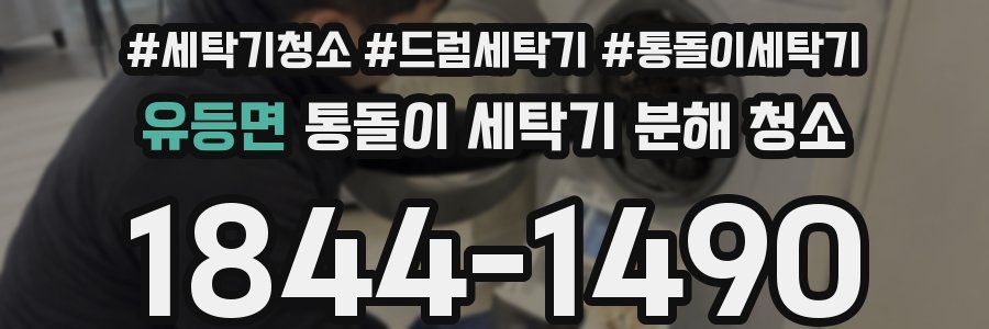 유등면 통돌이 세탁기 분해 청소