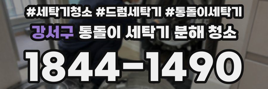 강서구 통돌이 세탁기 분해 청소