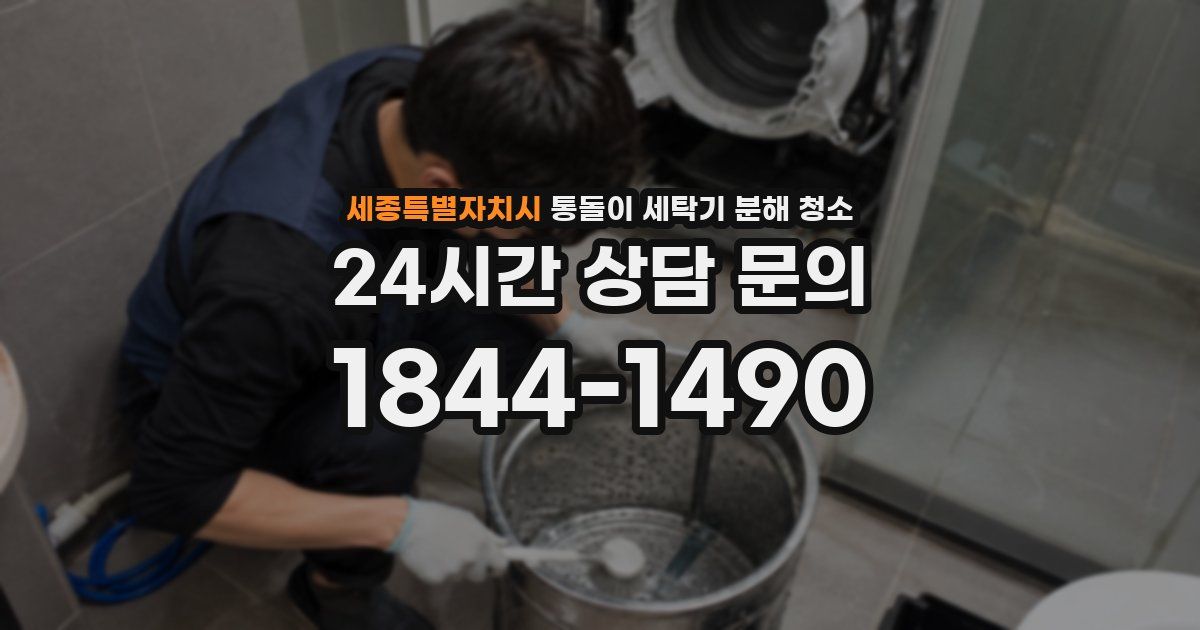 세종특별자치시 통돌이 세탁기 분해 청소
