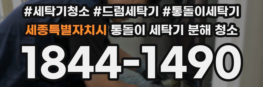 세종특별자치시 통돌이 세탁기 분해 청소