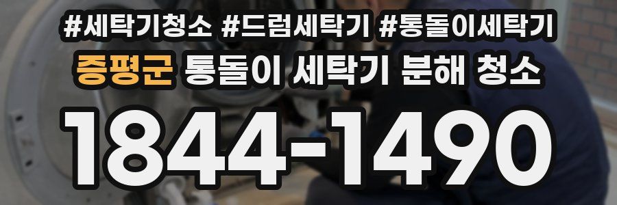 증평군 통돌이 세탁기 분해 청소