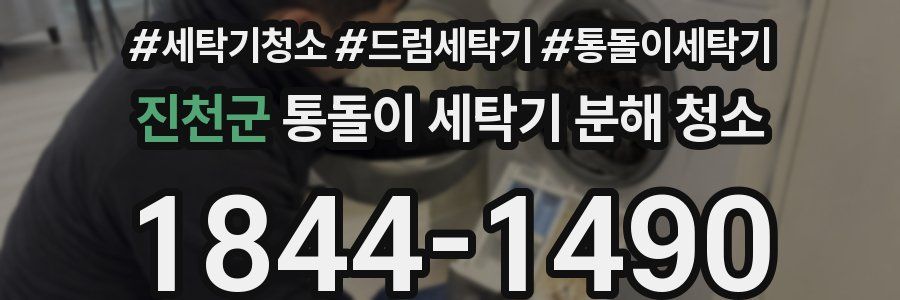 진천군 통돌이 세탁기 분해 청소