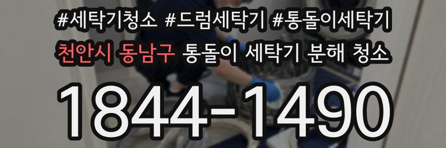 천안시 동남구 통돌이 세탁기 분해 청소