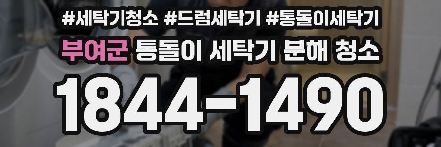 부여군 통돌이 세탁기 분해 청소
