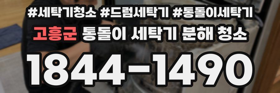 고흥군 통돌이 세탁기 분해 청소