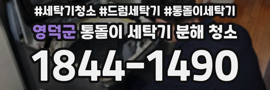 영덕군 통돌이 세탁기 분해 청소
