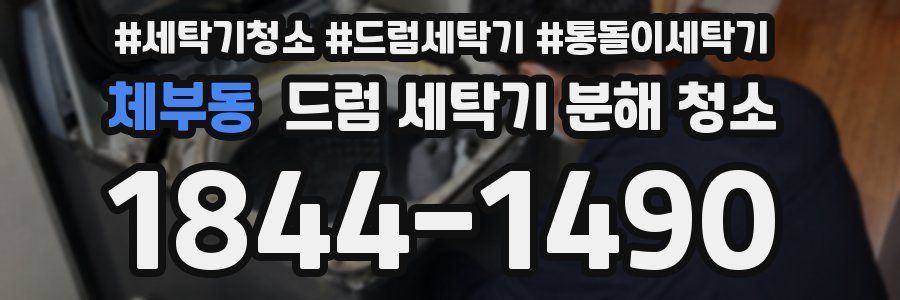 체부동 드럼 세탁기 분해 청소